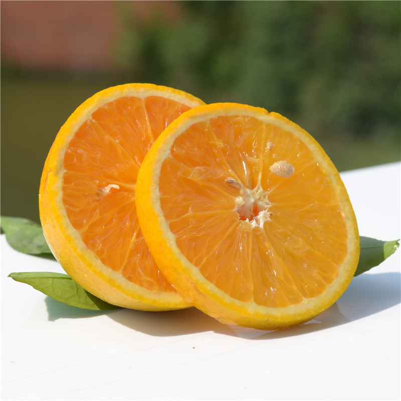 當(dāng)季水果/水果采購