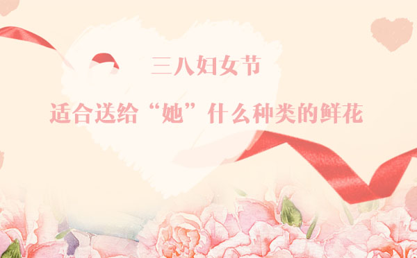 三八婦女節，適合送給“她”什么種類的鮮花？